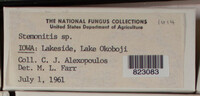 Image Associated With the Occurence